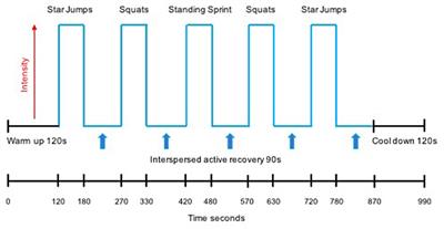 Short-Term, Equipment-Free High Intensity Interval Training Elicits Significant Improvements in Cardiorespiratory Fitness Irrespective of Supervision in Early Adulthood